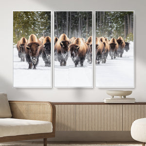 American Bison Herd Wall Art Canvas Print – Powerful Winter
