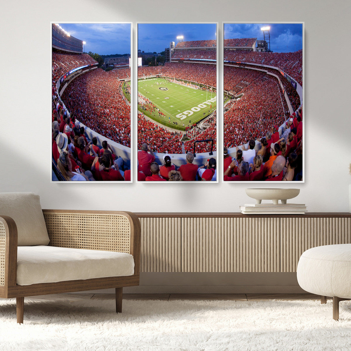 Dooley Stadium Wall Art, Sports Arena Canvas Print, Dooley