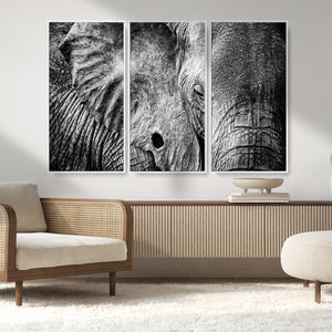 Wild Old Elephant Wall Art Canvas Print