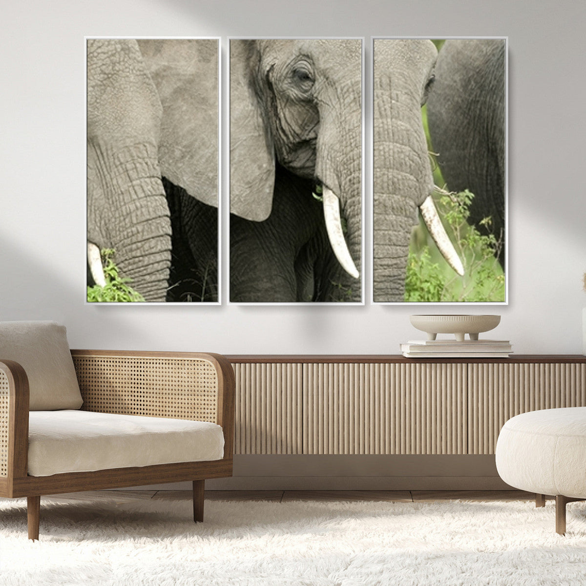 Wild Elephant Wall Art Canvas Print