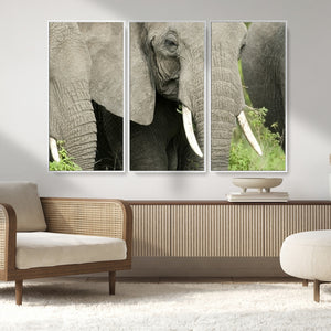 Wild Elephant Wall Art Canvas Print