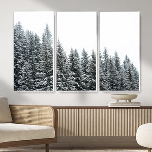 Misty Mountain Forest Canvas Print, Foggy Pine Trees Nature