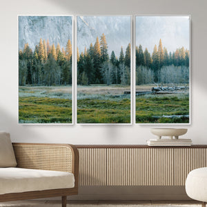 Forest Meadow Wall Art Canvas Print, Pine Tree Landscape