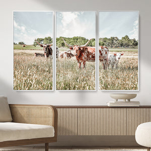 Texas Longhorn Cattle Wall Art Canvas Print, Rustic Ranch