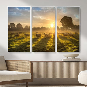 Sheep Wall Art Canvas Print – Rural Farm Animal Artwork