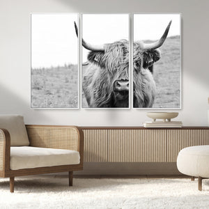 Newfoundland Cow Art Wall Art, Black White Cow Art Wall Art