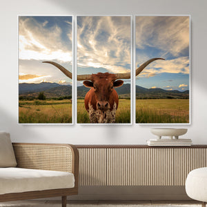 Texas Longhorn Canvas Wall Art – Majestic Triptych Animal