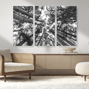 Trees Contemporary Art Canvas Print