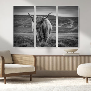 Fluffy Cattle Wall Art Print, Highland Cow Canvas, Framed