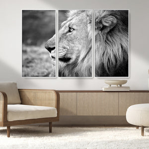 Lion Wall Art Canvas Print – Framed Majestic Wildlife