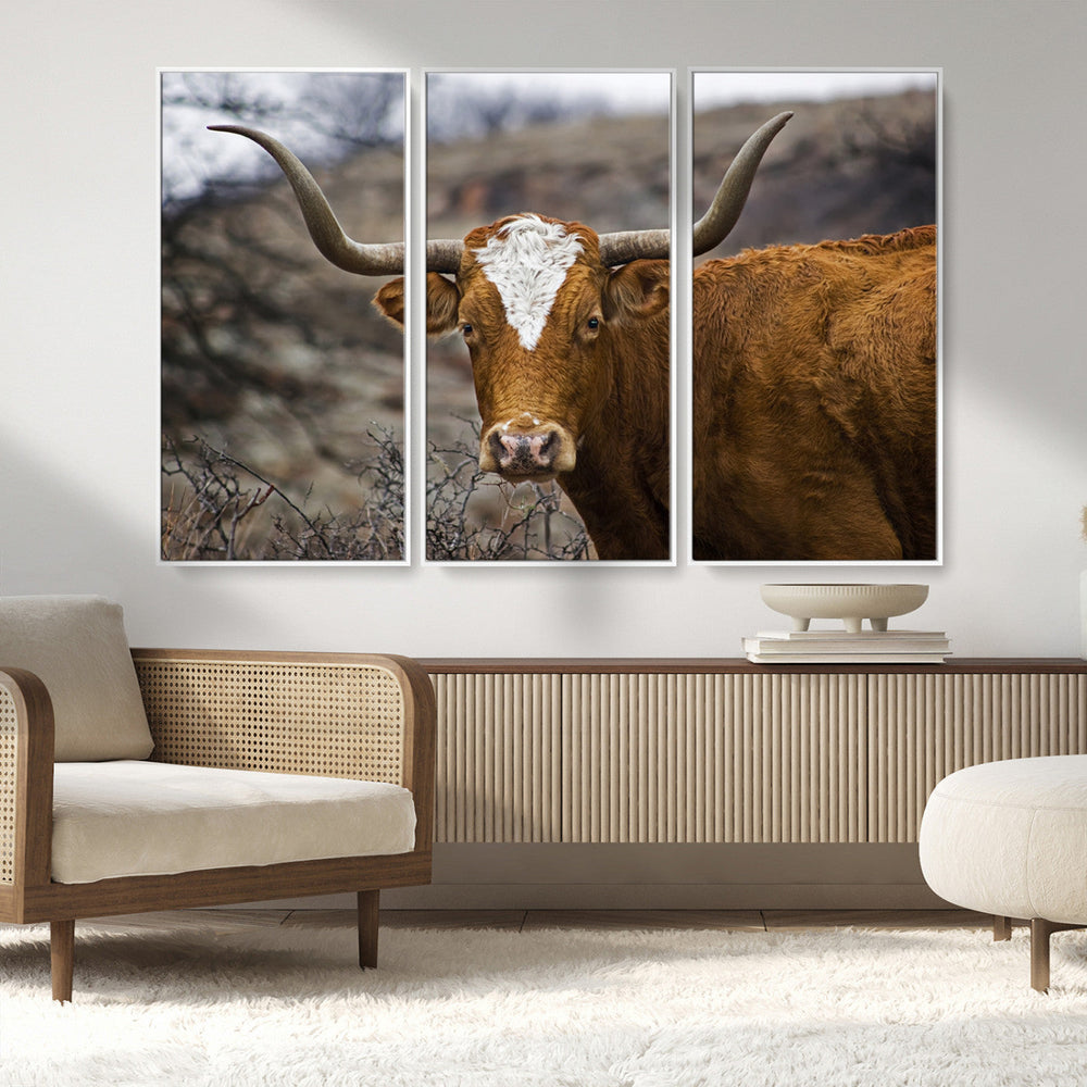 Texas Longhorn Canvas Wall Art - Longhorn Steer Canvas Wall