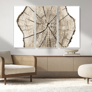 Abstract Wood Tree Ring Wall Art - Ready to Hang Minimalist