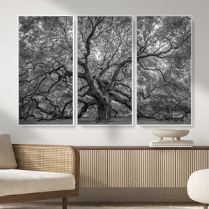 Majestic Angel Oak Tree Black and White Canvas Print – Multi