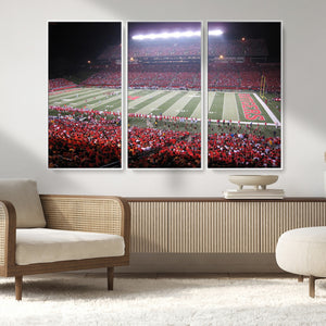 Rutgers University Scarlet Knights Football Team Print -