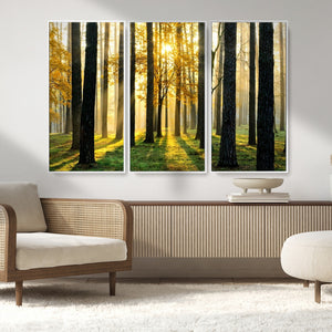 Sunlit Forest Wall Art Canvas Print – Large Framed Woodland