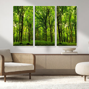 Lush Green Forest Canvas Print | 3-Panel Forest Wall Art |