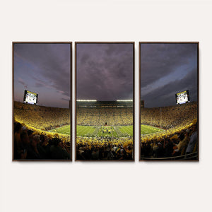 Michigan Wolverines Print - Michigan Stadium Wall Art Canvas