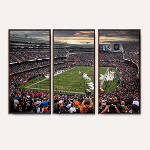 Chicago Bears Soldiers Field Wall Art Canvas Print – Framed