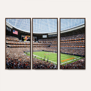 Chicago Bears Soldiers Field Wall Art Canvas Print – Framed
