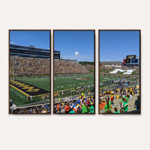 University of Missouri Tigers Football Team Print - Columbia