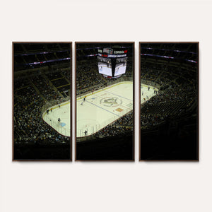 PPG Paints Arena Pennsylvania Pittsburgh Penguins Hockey
