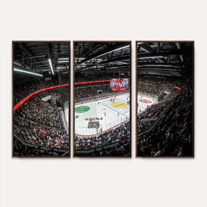 Vaudoise Lausanne Ice Hockey Arena Stadium Wall Art Canvas,