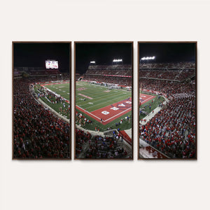 Houston Cougars Football Team Print - Houston TDECU Stadium