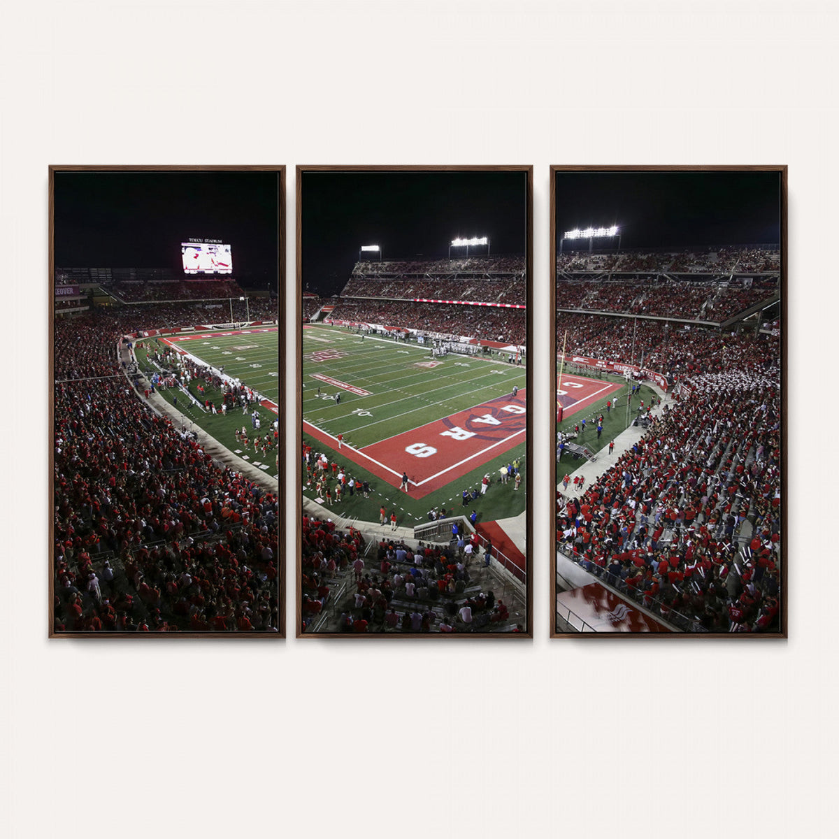 Houston Cougars Football Team Print - Houston TDECU Stadium