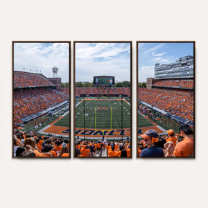 University of Illinois Fighting Illini Football Team Print