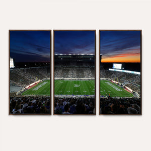 Michigan State Spartans Football Team Print - East Lansing