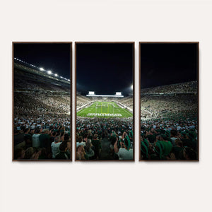 Framed Michigan State Spartans Football Team Print - East