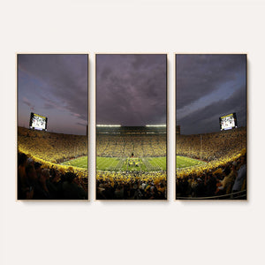 Michigan Wolverines Print - Michigan Stadium Wall Art Canvas