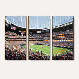 Chicago Bears Soldiers Field Wall Art Canvas Print – Framed