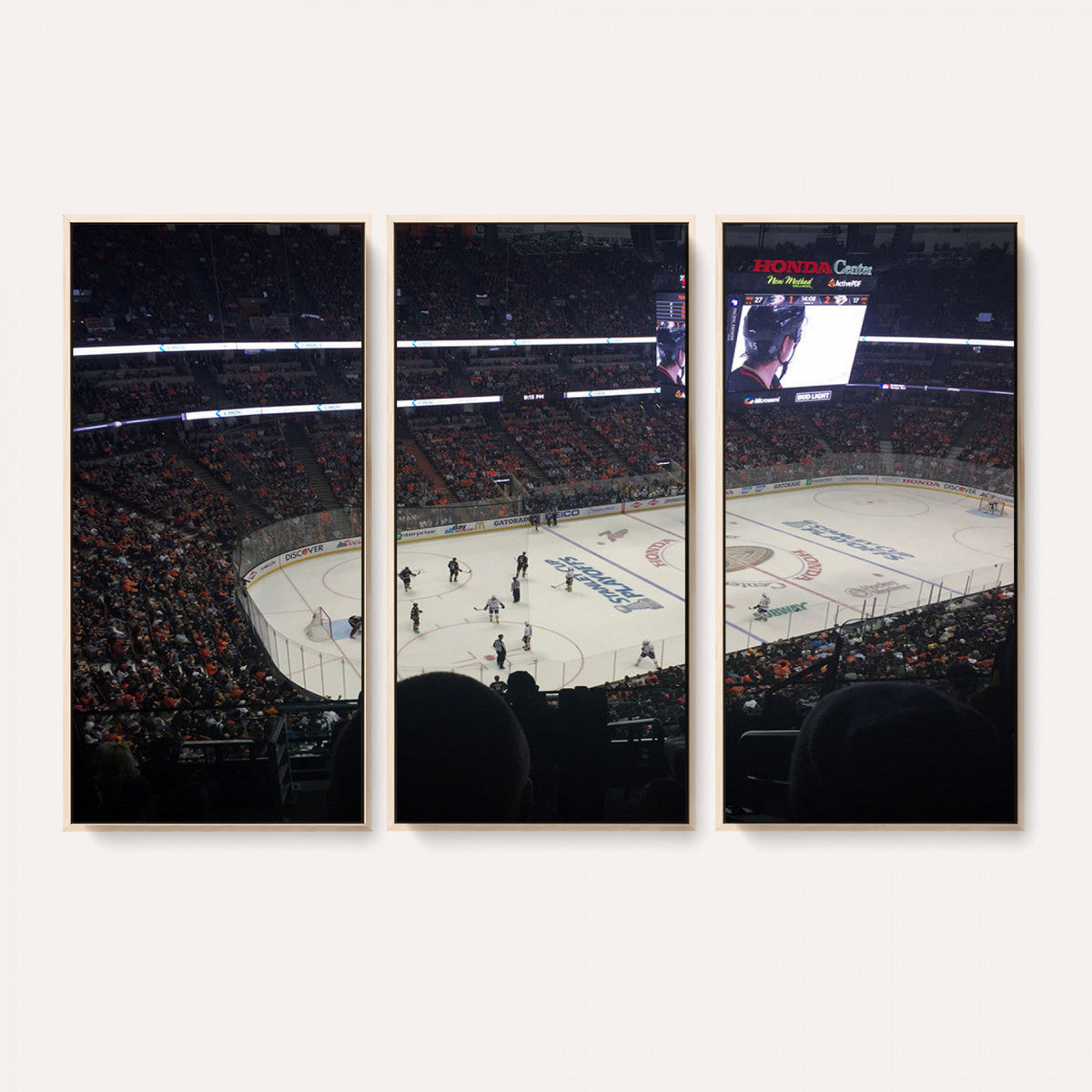 Honda Center California Anaheim Ducks Hockey Stadium Wall