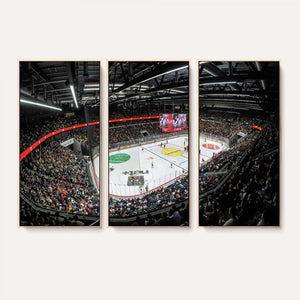 Vaudoise Lausanne Ice Hockey Arena Stadium Wall Art Canvas,