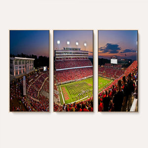 NC State Wolfpack Football Team Print - Raleigh