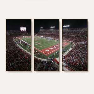 Houston Cougars Football Team Print - Houston TDECU Stadium