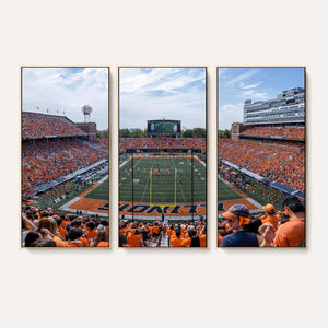 University of Illinois Fighting Illini Football Team Print