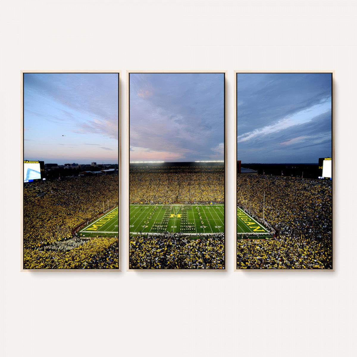 University of Michigan Wolverines Football Team Print - Ann