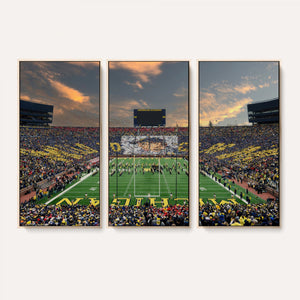 University of Michigan Wolverines Print Canvas, Football