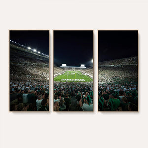 Framed Michigan State Spartans Football Team Print - East