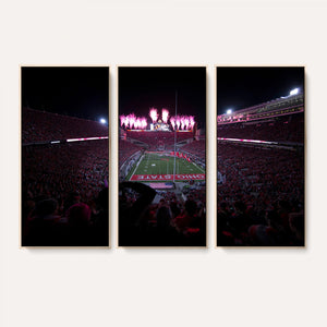 Ohio State University Buckeyes Football Team Print -