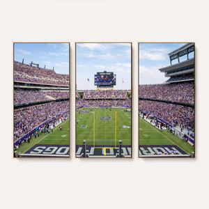TCU Horned Frogs Football Team Print - Fort Worth Amon G.