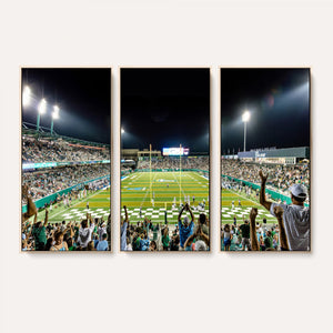 The Tulane University Green Wave Football Team Print - New