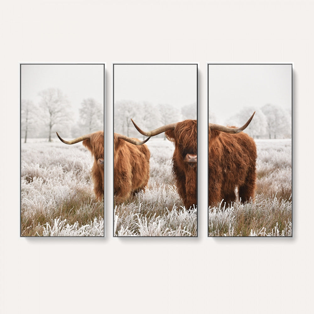 Longhorn Cattle Wall Art Canvas Print, Framed Farmhouse