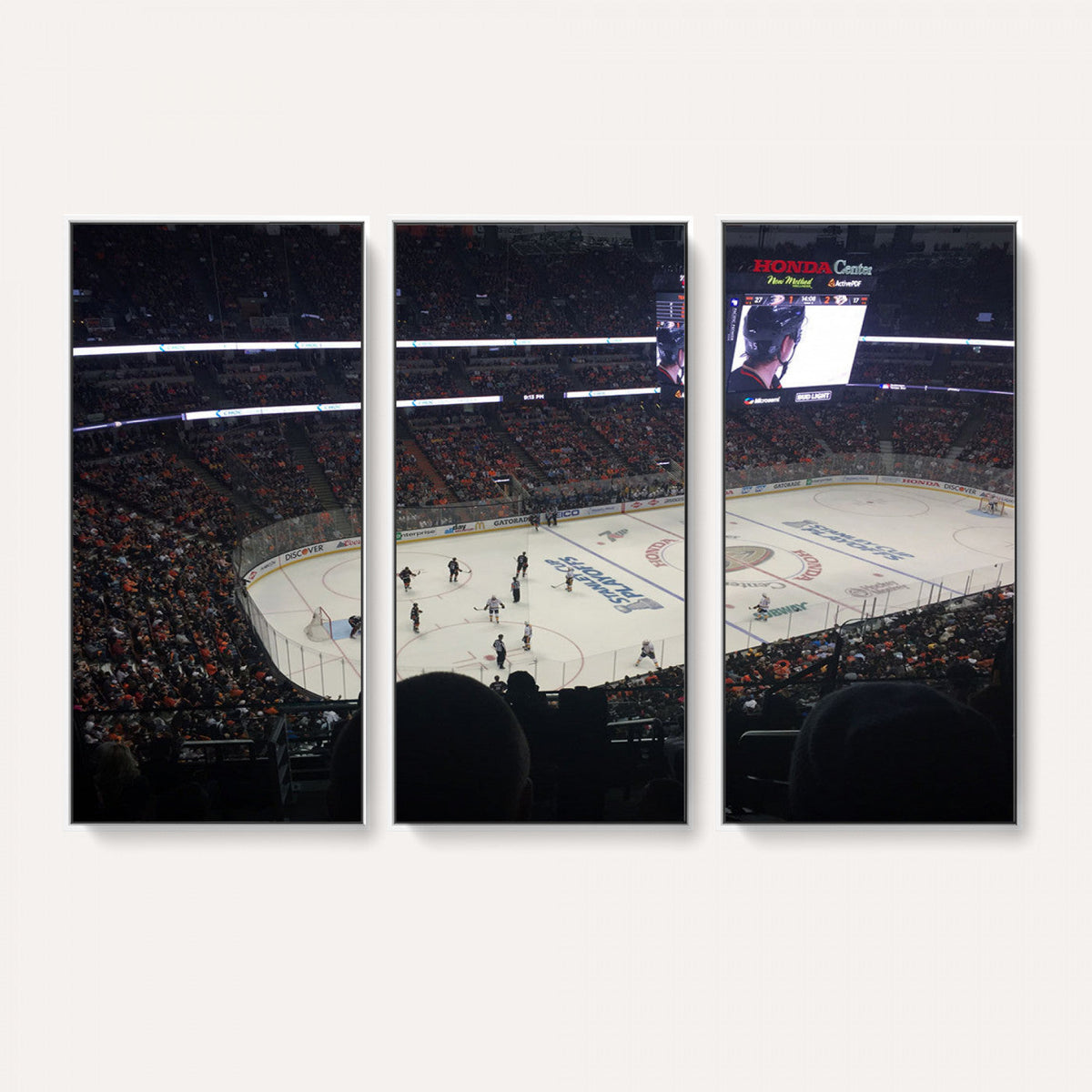 Honda Center California Anaheim Ducks Hockey Stadium Wall