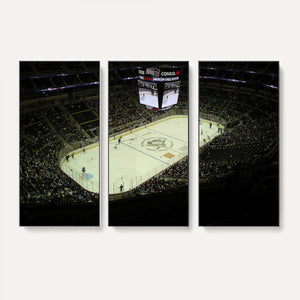 PPG Paints Arena Pennsylvania Pittsburgh Penguins Hockey