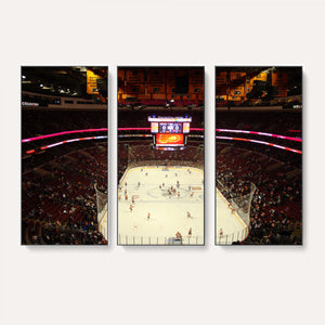 Wachovia Center Priort of Lyers Game Ice Hockey Stadium