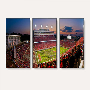NC State Wolfpack Football Team Print - Raleigh