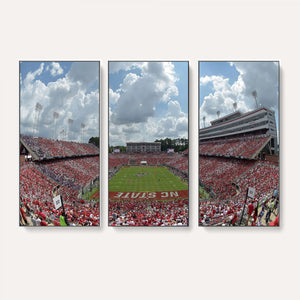 NC State Wolfpack Football Team Print Canvas- Raleigh